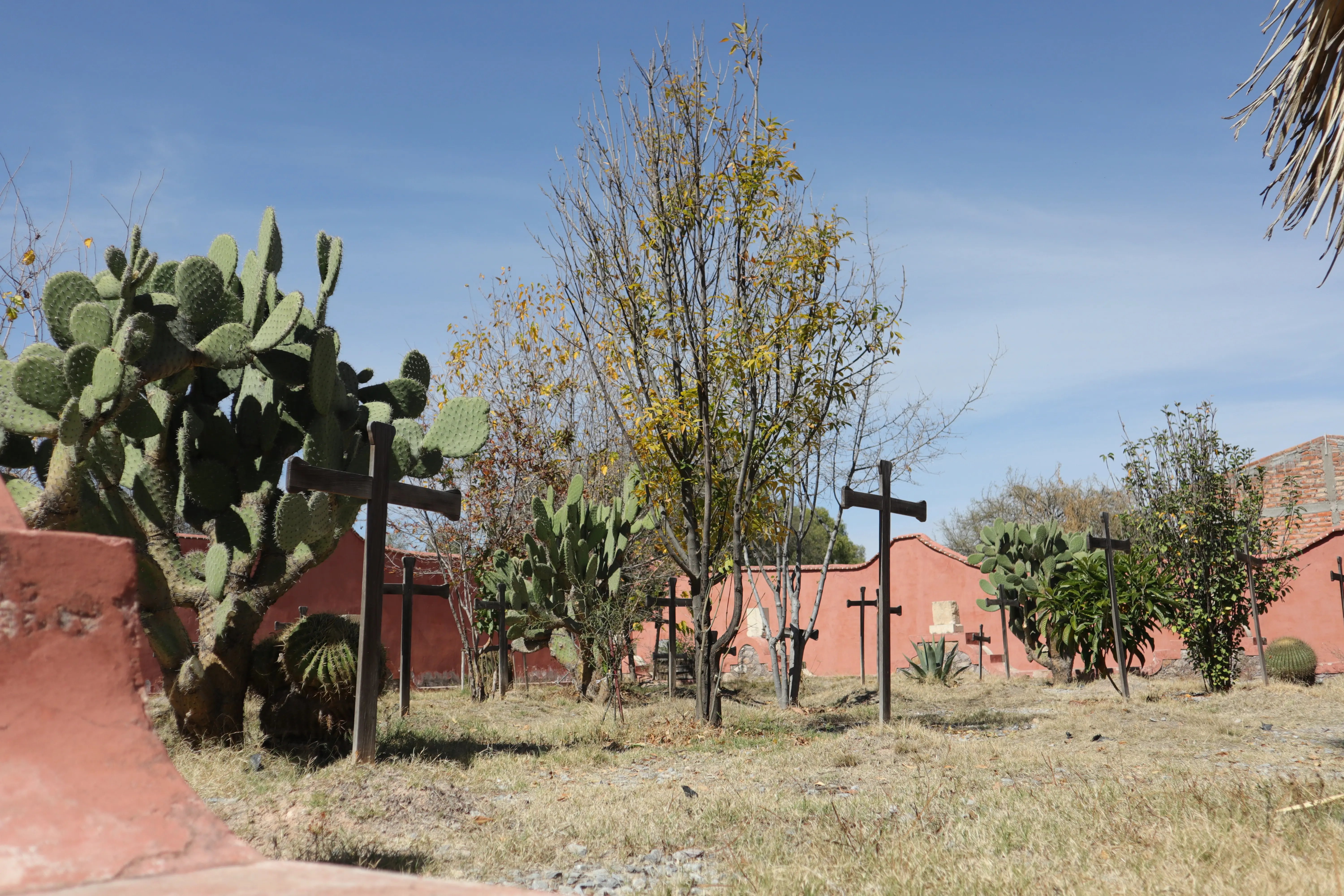 Guadalupe 4