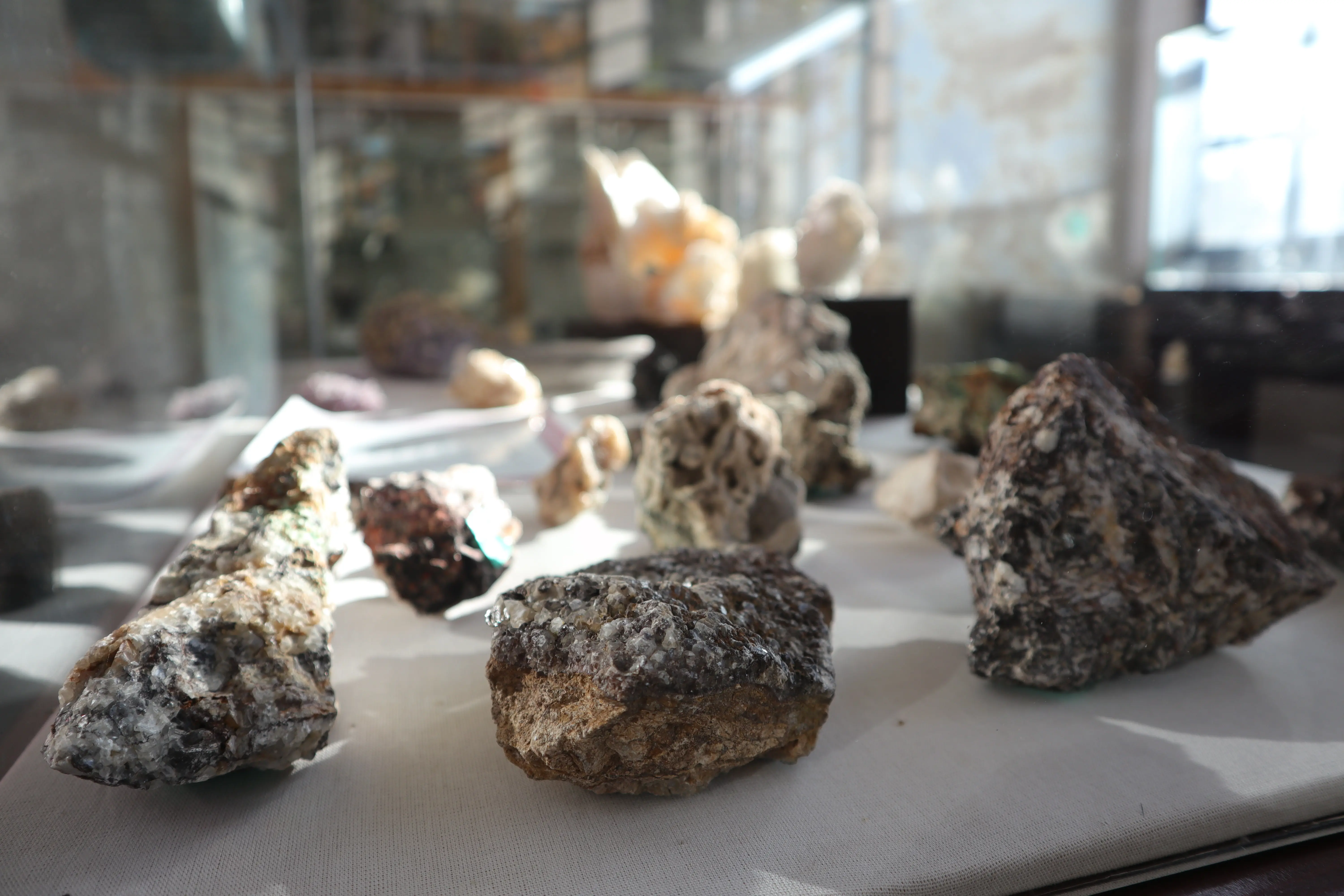 Museo Antonio Reyna 3
