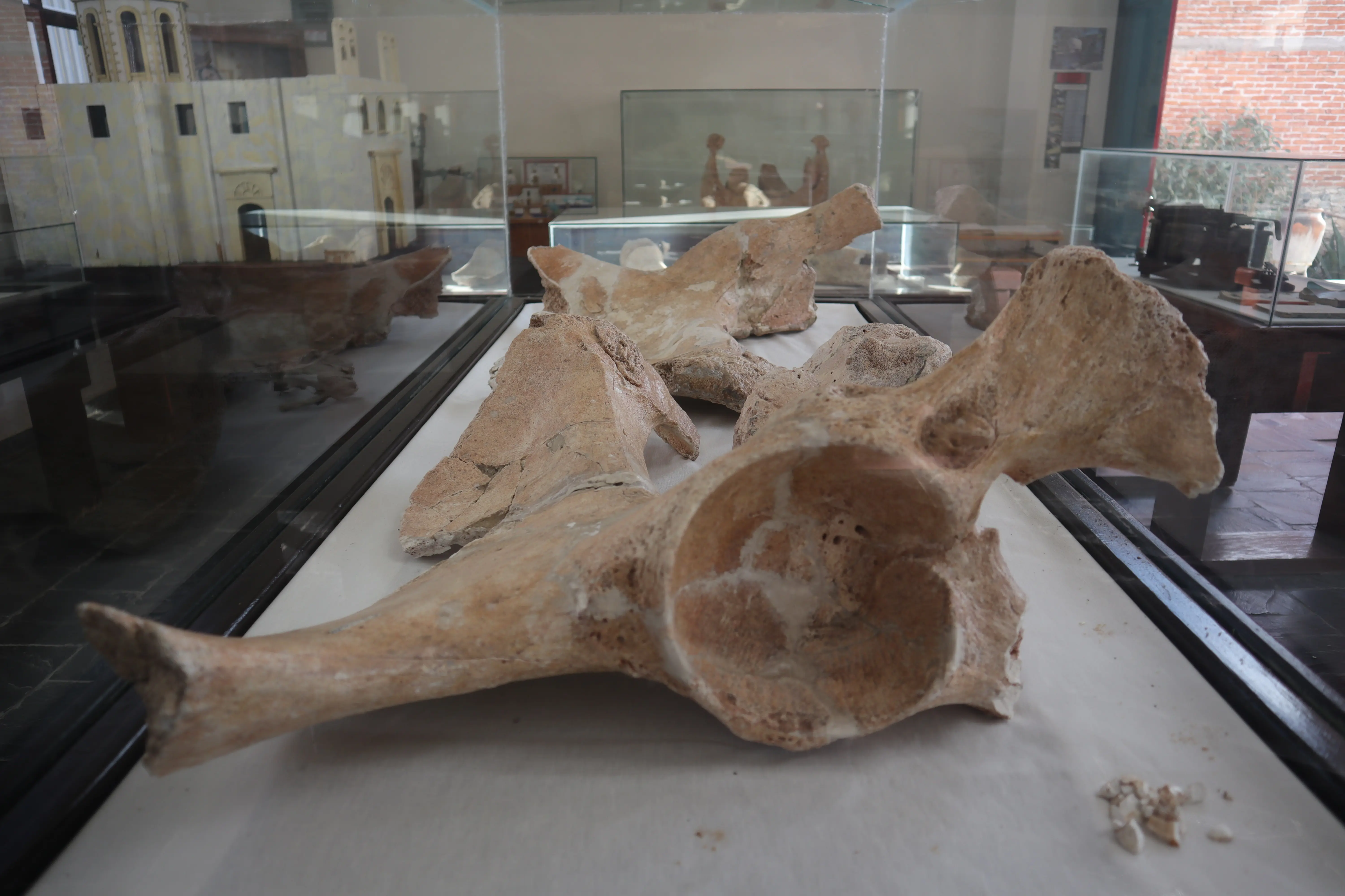 Museo Antonio Reyna 4